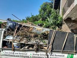 Best Moving and Downsizing Cleanouts  in Marietta, GA